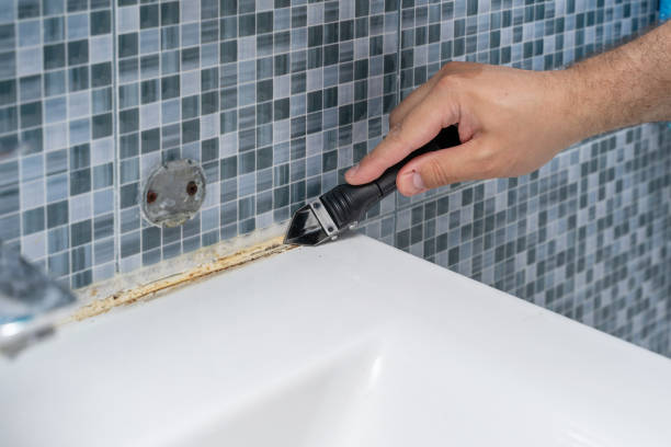 Mold Removal Process in Waelder, TX