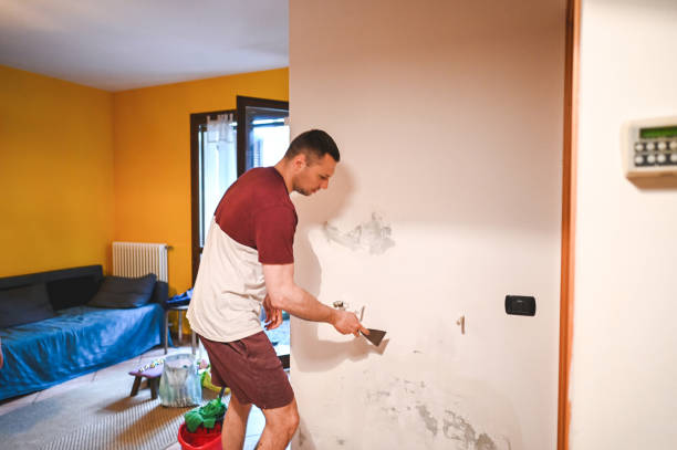Best Mold Remediation Services  in Waelder, TX